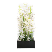 White Orchid Potted Plant in Black Red Frame - @home by Nilkamal