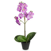 Forest Orchid Plant Pot - @home By Nilkamal, Lavender