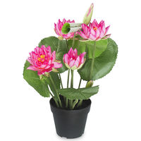 Forest Lavish Lotus Plant Pot - @home By Nilkamal, Pink