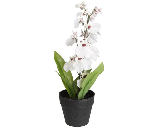 Forest Orchid Mini Plant Pot - @home By Nilkamal, White
