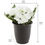 Forest Hydrangea Plant Pot - @home By Nilkamal, White