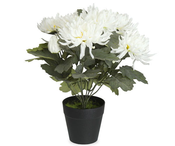 Forest Chrysanthemum Plant Pot - @home By Nilkamal, White
