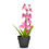 Forest Orchid Plant Mini Poty-@home By Nilkamal, Lavender