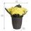 Forest Hydrangea Plant Pot - @home By Nilkamal, Yellow