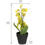 Forest Orchid Mini Plant Pot - @home By Nilkamal, Yellow