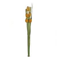 Solitary Medium Wicker Flower Set of 4 - @home by Nilkamal, Yellow