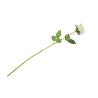 Belinda Rose Flower Stick Set of 5 - @home by Nilkamal, White