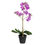 Forest Orchid Plant Pot - @home By Nilkamal, Lavender