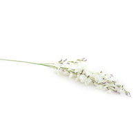 Dancing Orchid Flower Stick Set of 4 - @home by Nilkamal, White
