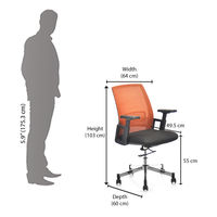 Nilkamal Edric MB Office Chair, Brown & Black