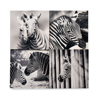 3D Zebra Picture Frame Collection of 4 - @home By Nilkamal, Grey