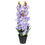 Forest Antirrihinum Plant Pot - @home By Nilkamal, Lavender