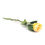Wild Rose 36 cm Flower Stick - @home by Nilkamal, Yellow
