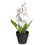Forest Orchid Mini Plant Pot - @home By Nilkamal, White