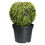 Forest Bom Ball Small With Pot - @home By Nilkamal, Green