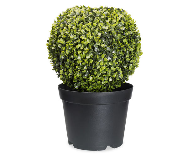 Forest Bom Ball Small With Pot - @home By Nilkamal, Green