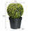 Forest Bom Ball Large With Pot - @home By Nilkamal, Green