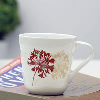 6 Piece Floral Coffee Mug - @home Nilkamal