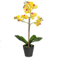 Forest Orchid Plant Pot - @home By Nilkamal, Yellow