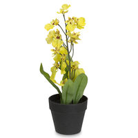 Forest Orchid Mini Plant Pot - @home By Nilkamal, Yellow