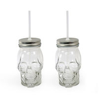 Skulljar 450 ml with Metal Lid/ Stand & Straw Set of 2 - @home by Nilkamal, Clear