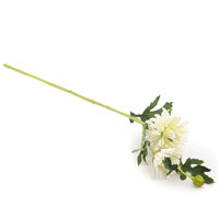 Gerbera 55 cm Flower Stick - @home by Nilkamal, White