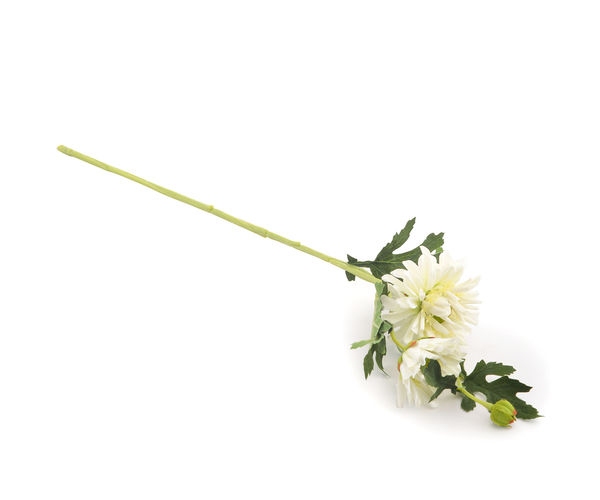 Gerbera 55 cm Flower Stick - @home by Nilkamal, White