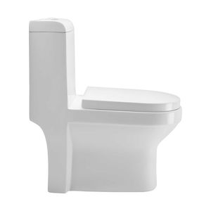 CERA S1013106 - CAPSTAN One Piece EWC P/ S Concealed Soft Close Seat Cover 2368 and Twin Flush Fittings 2268,  ivory