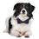 Pet Glam Bow Tie-Polka Dots-Medium to Large Size Plain Dog Collar Charm