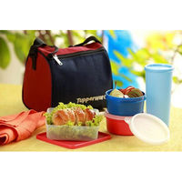 Tupperware Best Lunch Box With Bag