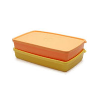 Tupperware Assorted Cool N Fresh Flat Lunch Box - 600Ml (Set Of 2)