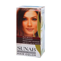 Radico Sunab Herbal Soft Black Hair Color - 60gm
