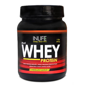 InLife Whey Protein 1Lb, vanilla