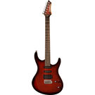 Washburn RX20FWSB Electric Guitar
