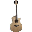 Washburn AG40CE Semi Acoustic Guitar