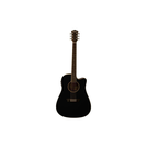 Washburn AD5CE Semi Acoustic Guitar, black