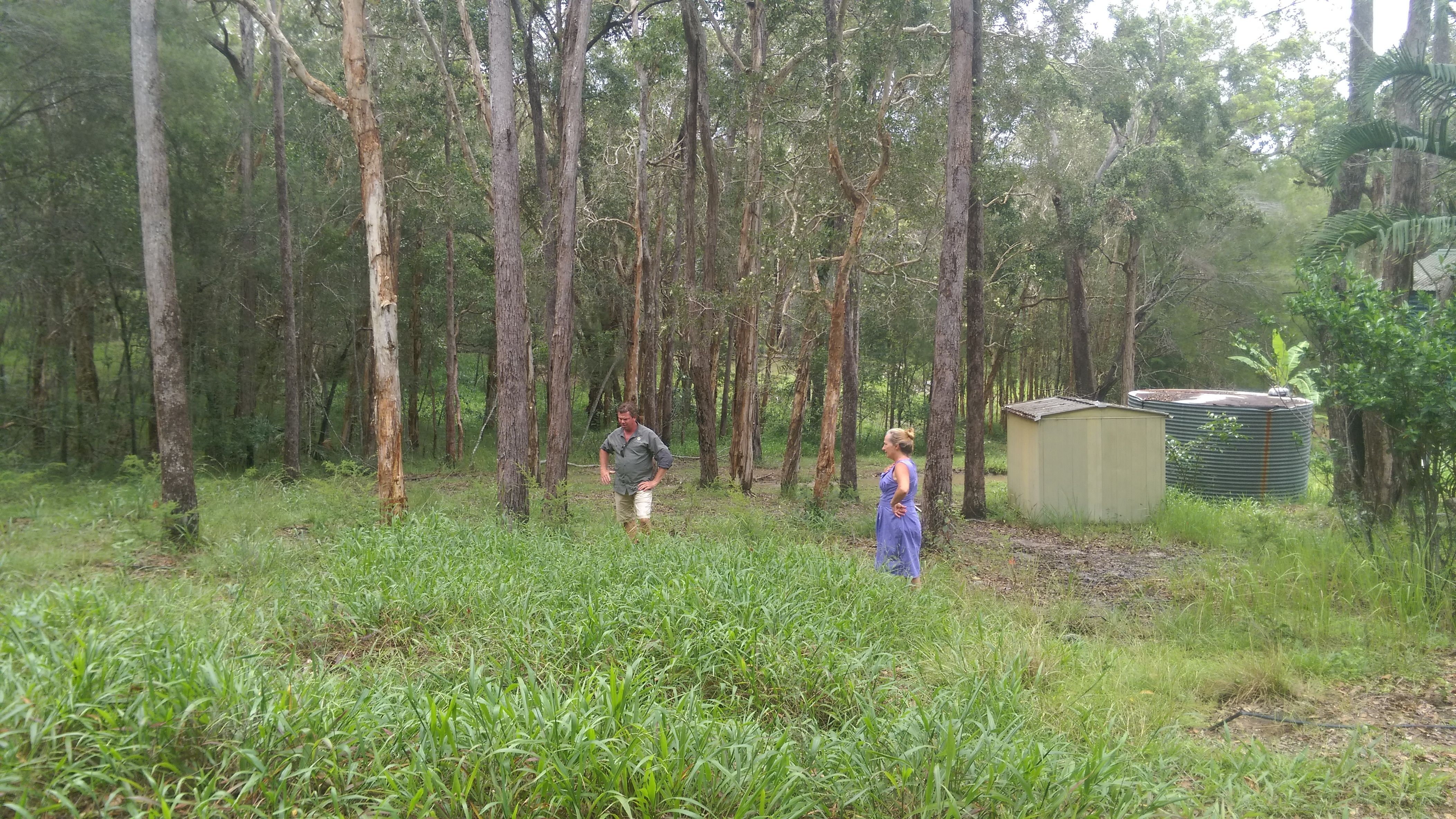man and woman in a leptosurmum field