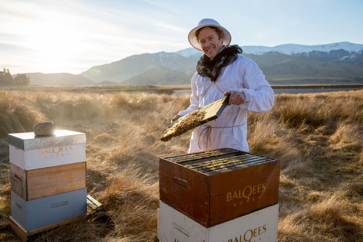 A beekeeper and his hives in New Zealand countryside