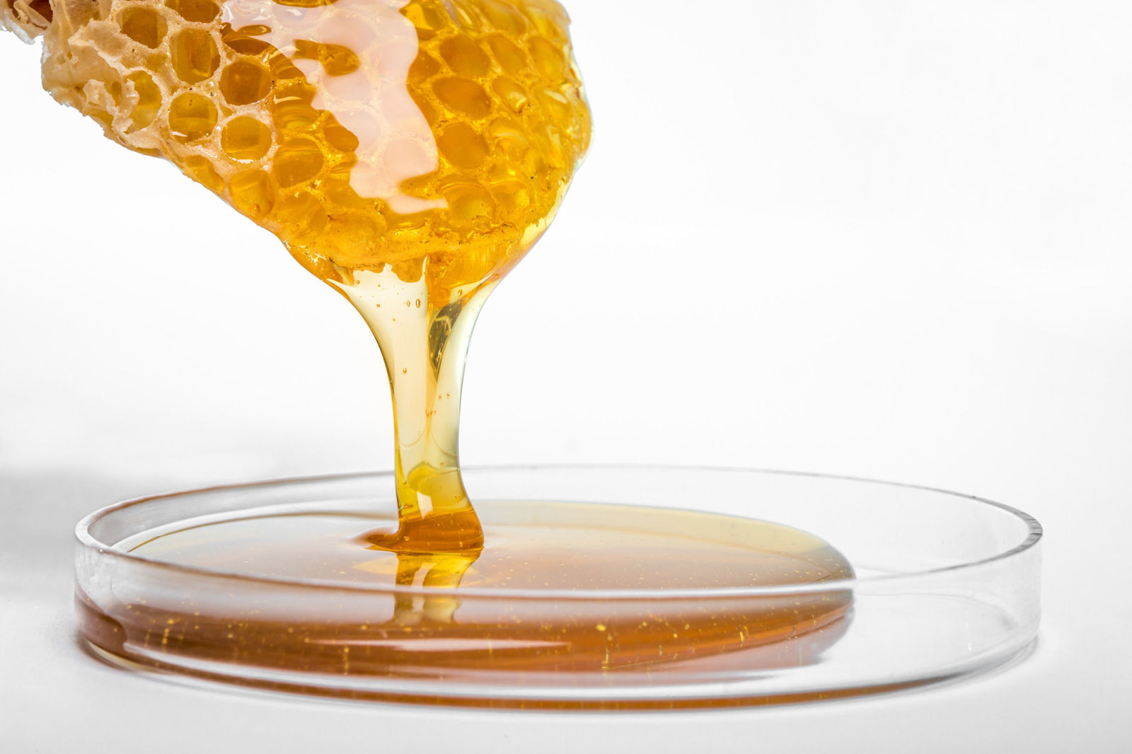 honeycomb dripping honey into dish