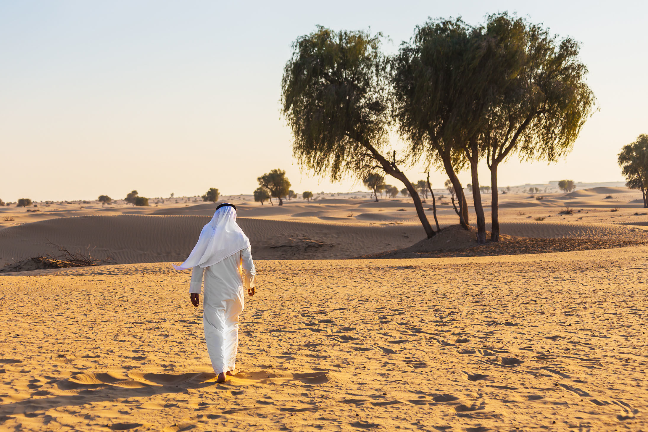 man in Arabic dress by Sidr tree in desert