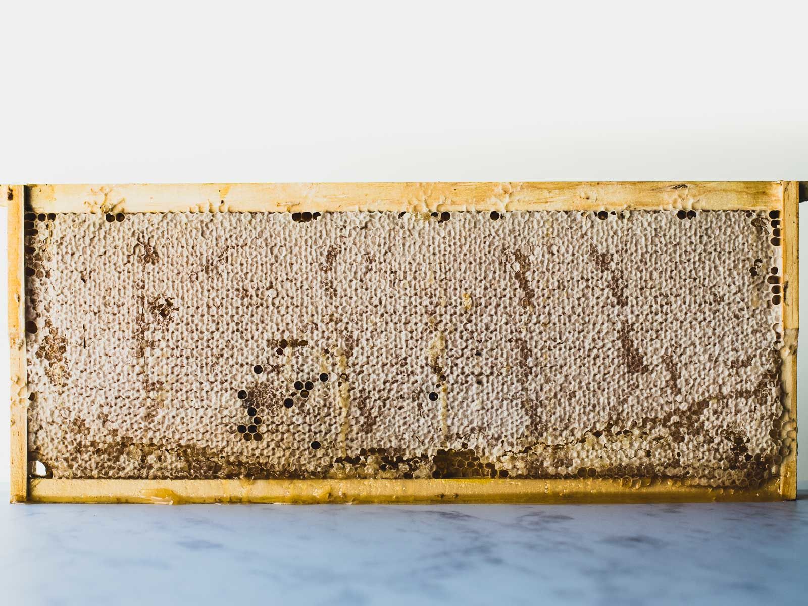 Wooden frame containing a honeycomb