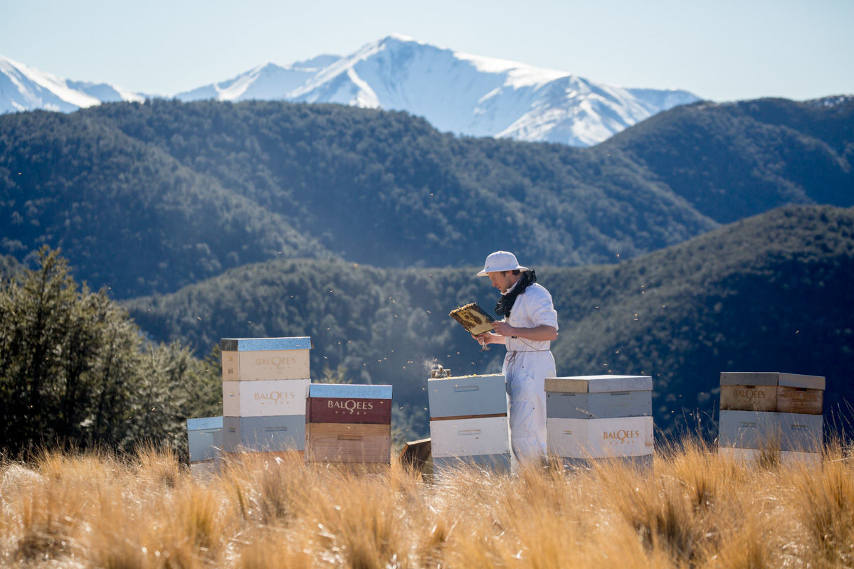 beekeeper and hives in front of mountains